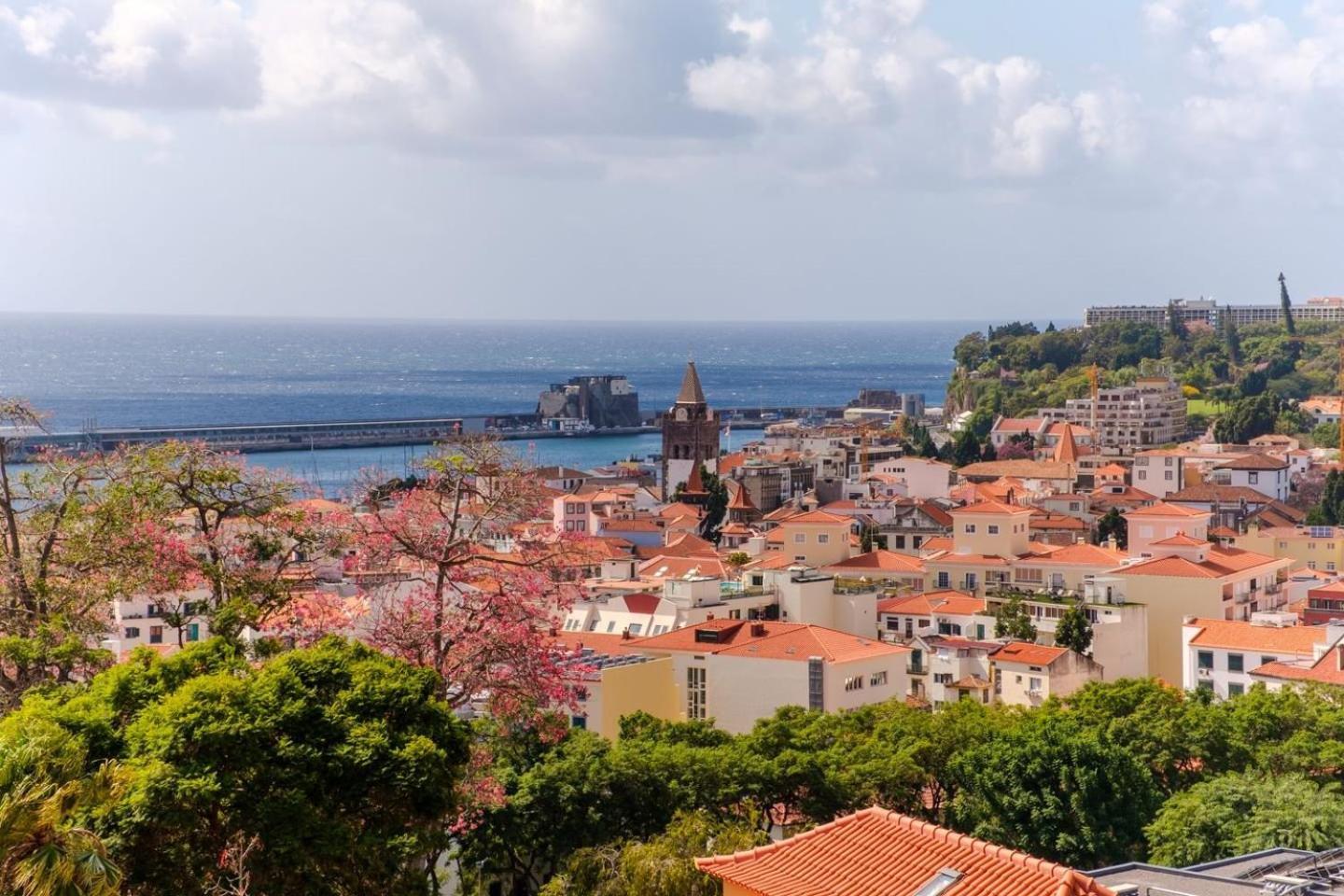 Varandas Funchal-near Center Leilighet